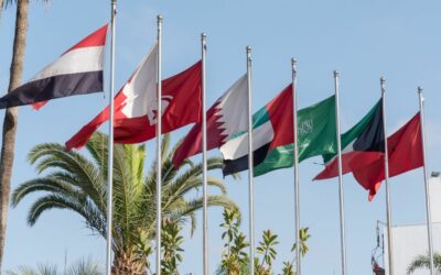 Meta Ads: Amplifying Business ROI in the Middle East and Africa – PureRapid Insights