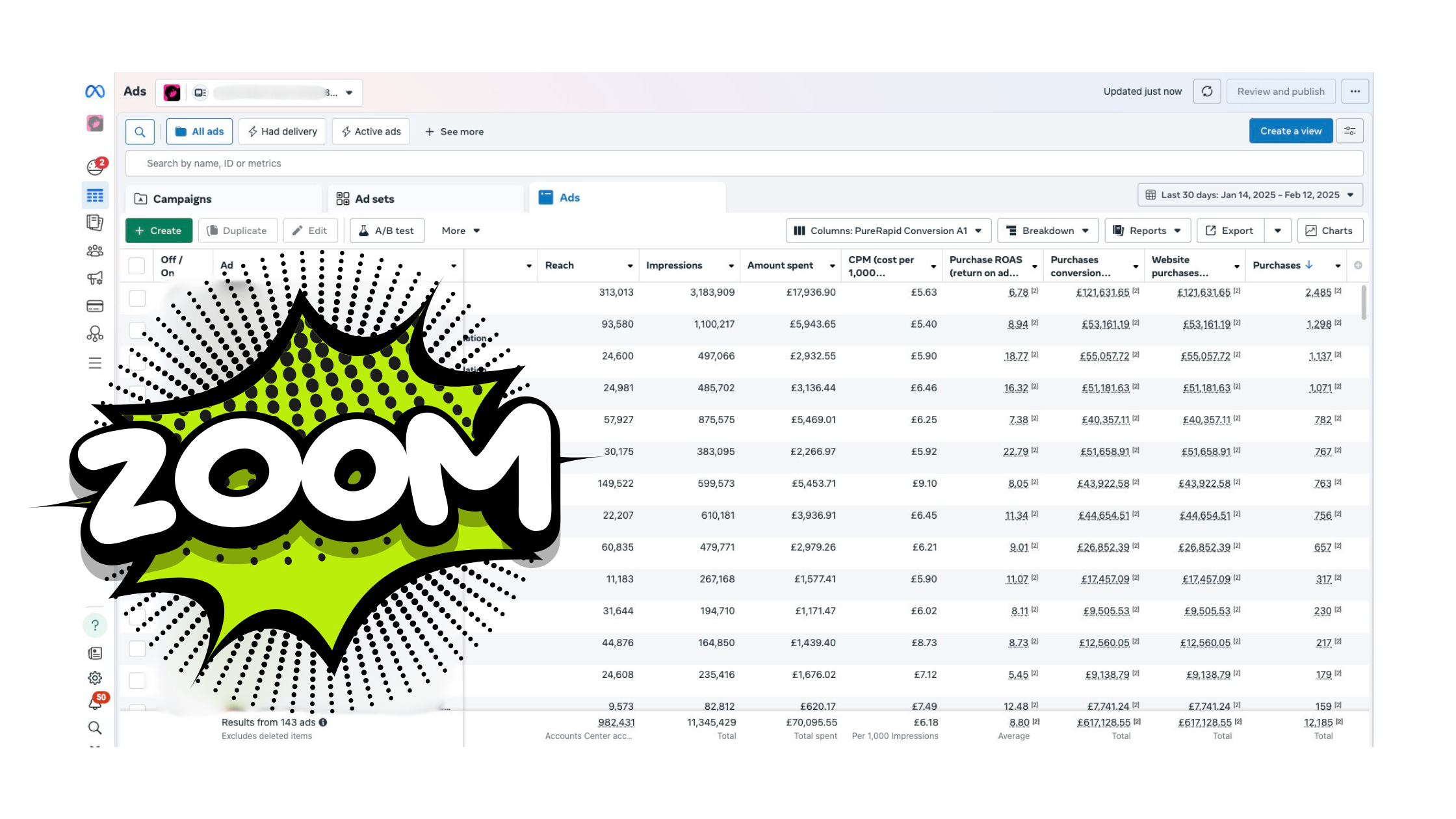 Meta Ads Results – PureRapid